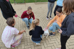 IMG_20231004_072953