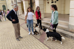 IMG_20231004_074053