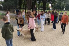 IMG_20231004_074353