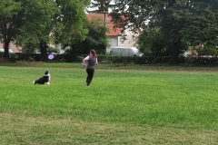 IMG_20231004_081810