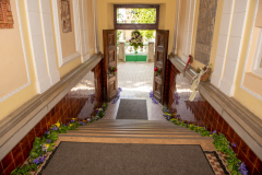 DAL_6865