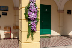 DAL_7516