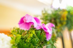 DAL_1793