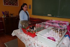 OLYMPUS DIGITAL CAMERA