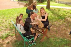 OLYMPUS DIGITAL CAMERA