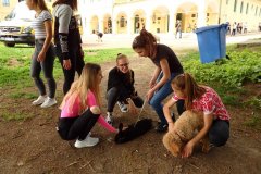 OLYMPUS DIGITAL CAMERA