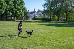IGY_6459