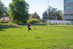 IGY_6463