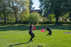 IGY_6469