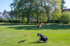 IGY_6475