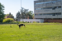 IGY_6477