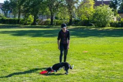 IGY_6479