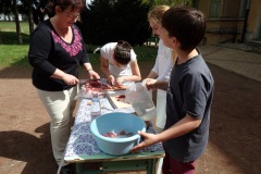 OLYMPUS DIGITAL CAMERA