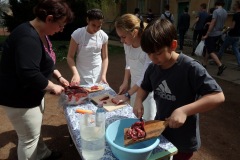 OLYMPUS DIGITAL CAMERA