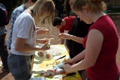 OLYMPUS DIGITAL CAMERA