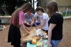 OLYMPUS DIGITAL CAMERA