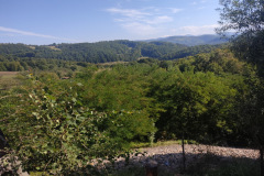 20210911_Kiralyhago