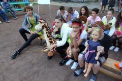 OLYMPUS DIGITAL CAMERA