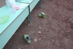 OLYMPUS DIGITAL CAMERA